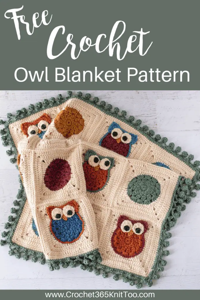Graphic of the owl crochet afghan