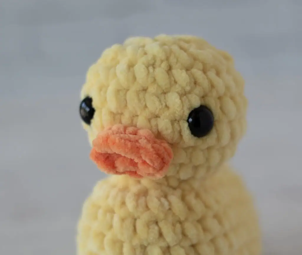 Crochet Duck Head