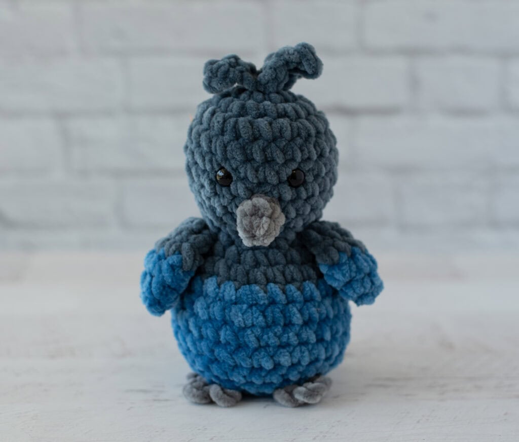 Crochet Stellers Jay Bird from front