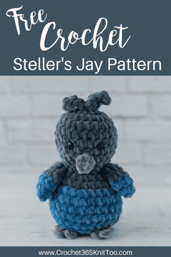 Image of Crochet Stellers Jay Bird