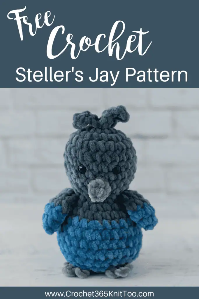 Image of Crochet Stellers Jay Bird